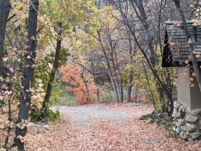 The Best Places to See Utah’s Fall Colors — And How to Make a Weekend of It