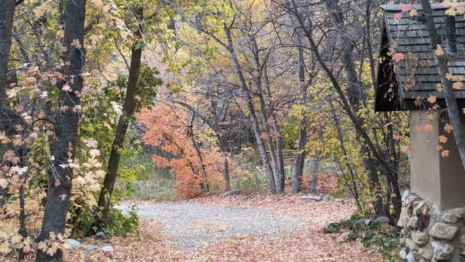 The Best Places to See Utah’s Fall Colors — And How to Make a Weekend of It
